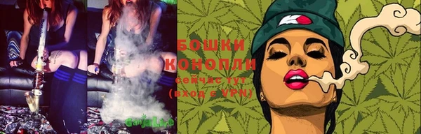 стаф Семилуки