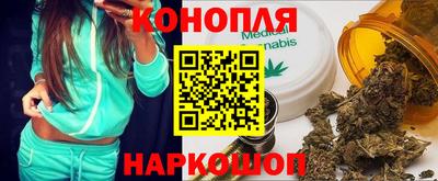 скорость Кингисепп
