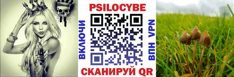 Псилоцибиновые грибы Magic Shrooms Кудрово