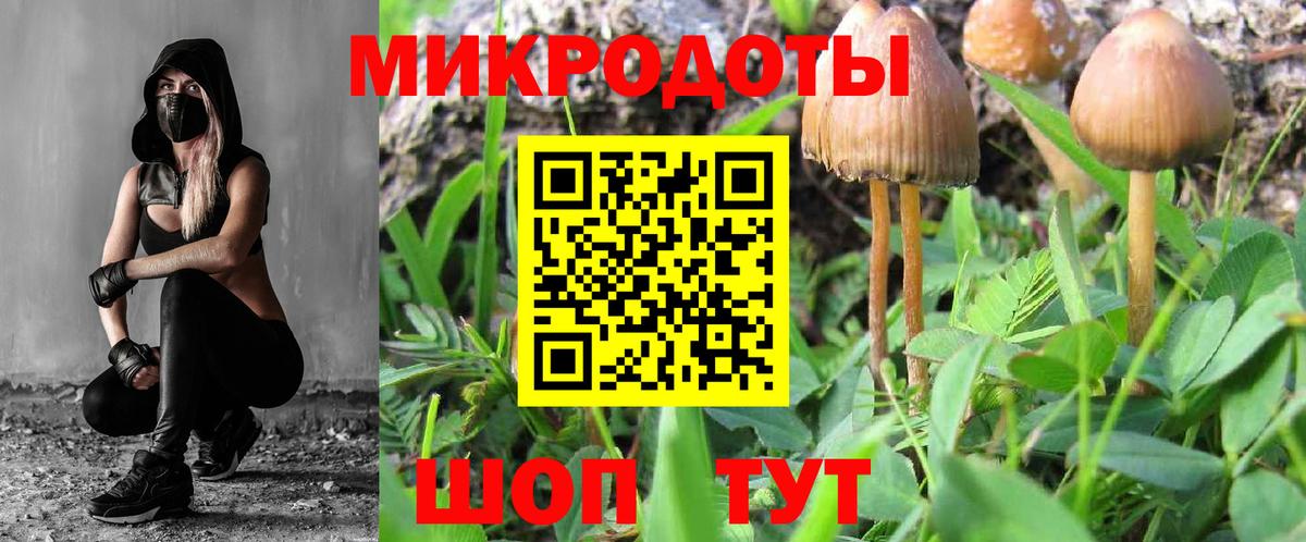 Галлюциногенные грибы ЛСД Кудрово