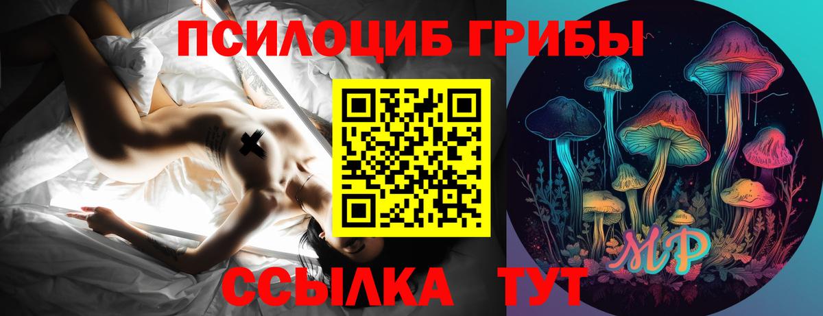 Галлюциногенные грибы мухоморы  Вход с VPN  Кудрово 