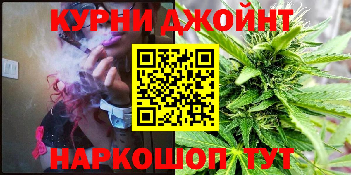 Канабис конопля Кудрово